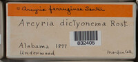 Image Associated With the Occurence